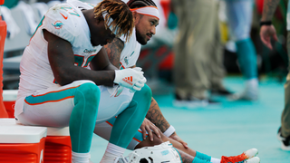 The Dolphins Aren't Enjoying This Fiasco Any More Than You Are